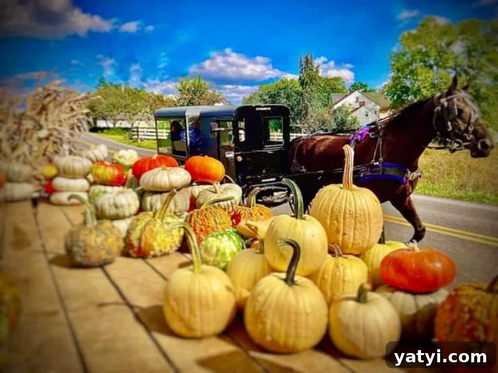 Origins of the Amish: Where They Came From and Why It Matters 4 a horse and buggy passing by a wagon load of pumpkins.