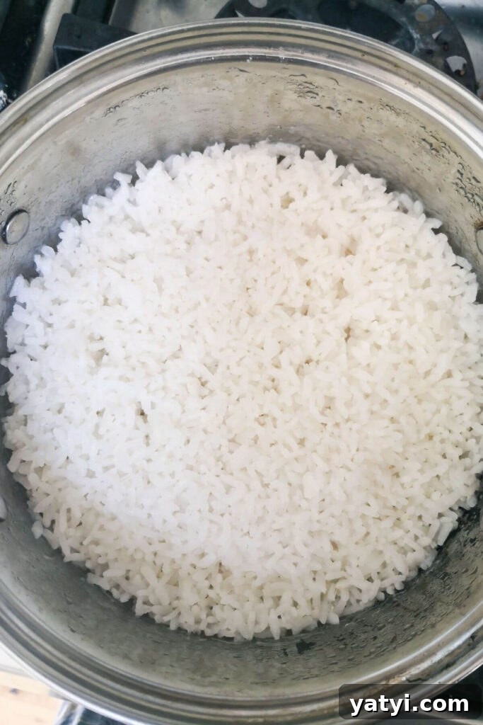 Cooked sushi rice in a small silver pot on the stove top.