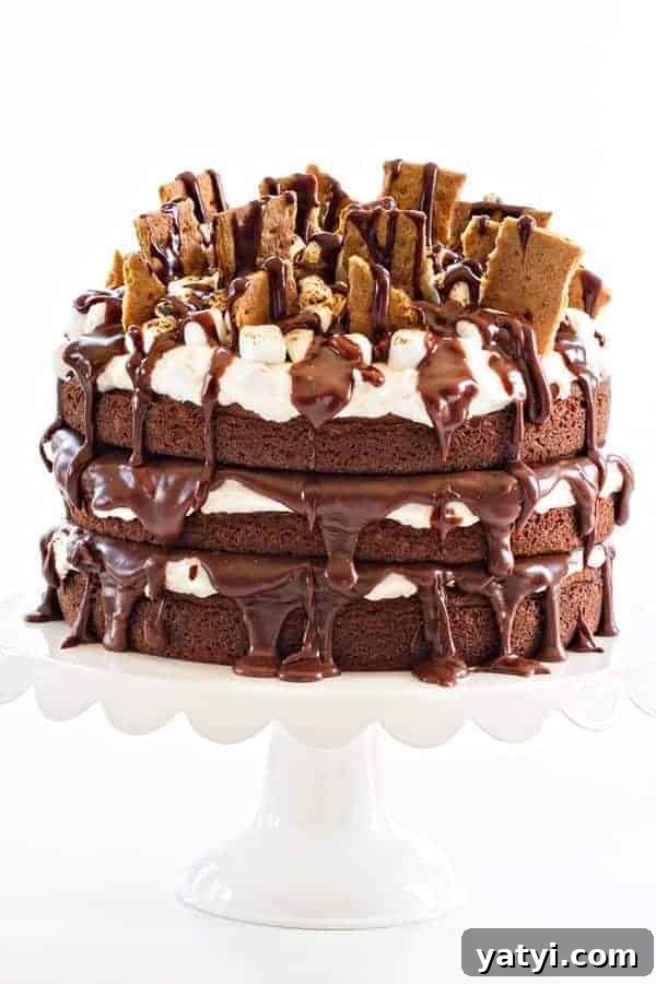 Ultimate S'mores Layer Cake Recipe for Campfire Flavor 2 S'mores Cake is brimming all the delicious flavors and textures of the campfire favorite, in cake form! And seriously, who could resist toasted marshmallow buttercream?