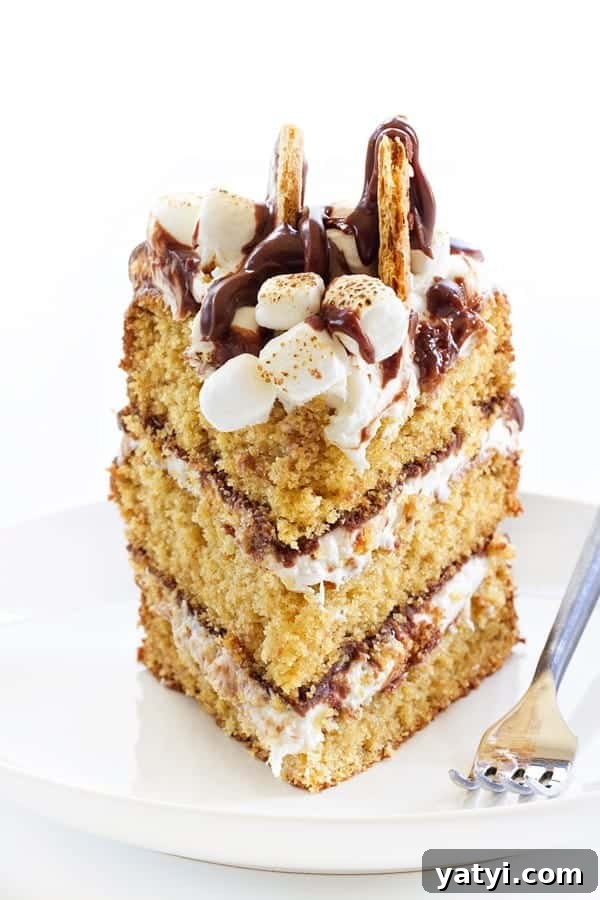 Ultimate S'mores Layer Cake Recipe for Campfire Flavor 4 S'mores Cakes has all the flavors and textures of your campfire favorite - in cake form. We absolutely loved this cake and are convinced it will become one of your new favorites!