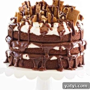 Ultimate S'mores Layer Cake Recipe for Campfire Flavor 5 S'mores Cake is brimming all the delicious flavors and textures of the campfire favorite, in cake form! And seriously, who could resist toasted marshmallow buttercream?