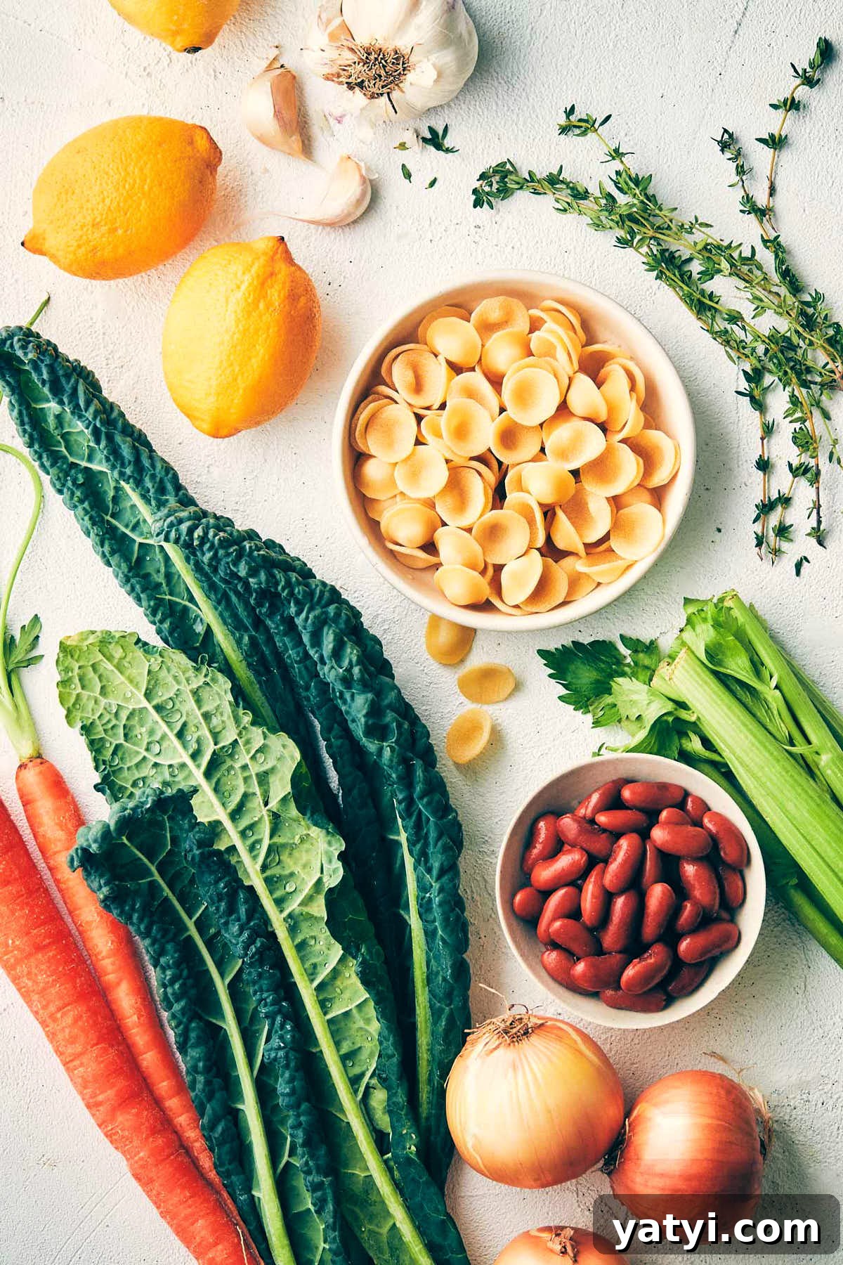 Veggie bean soup ingredients like fresh kale, carrots, beans, garlic and pasta spread on the counter