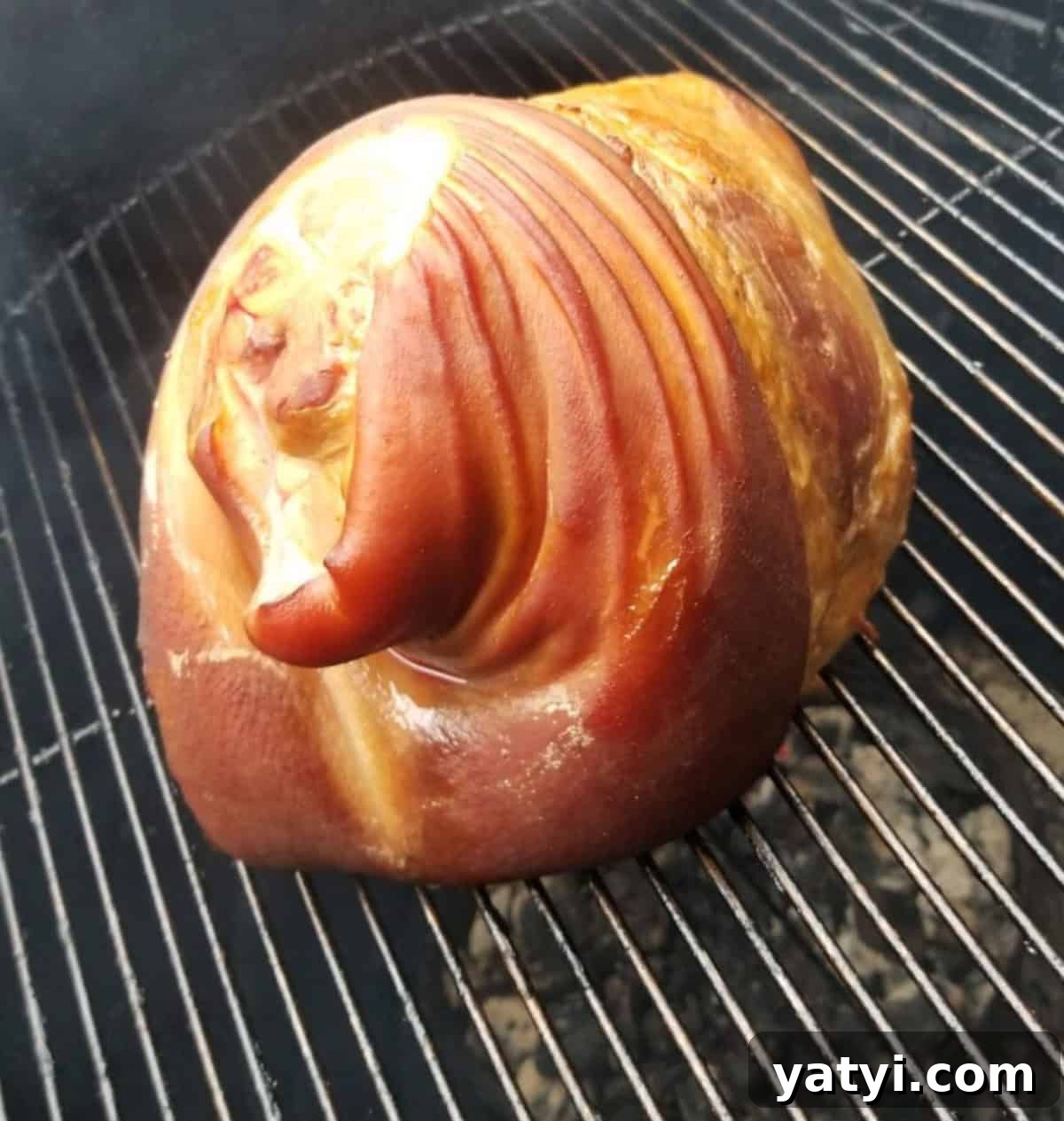 Festive Easter Party Food Ideas and Fun Games 10 smoked ham in smoker