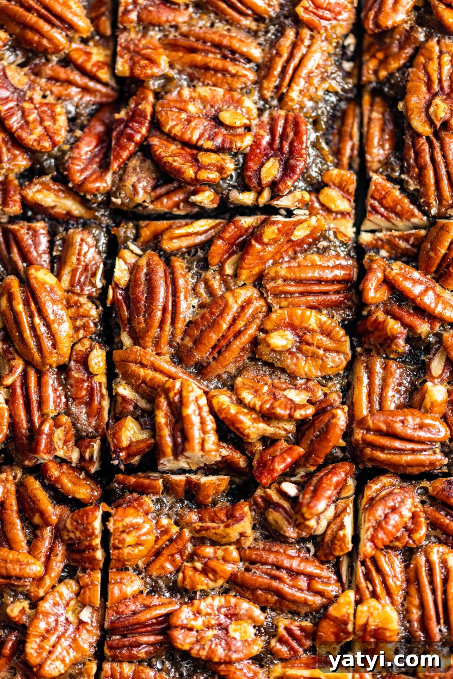 Decadent Pecan Pie Brownies Recipe — Gooey Chocolate Pecan Bars 6 Close up of brownies from above showing pecan pie filling