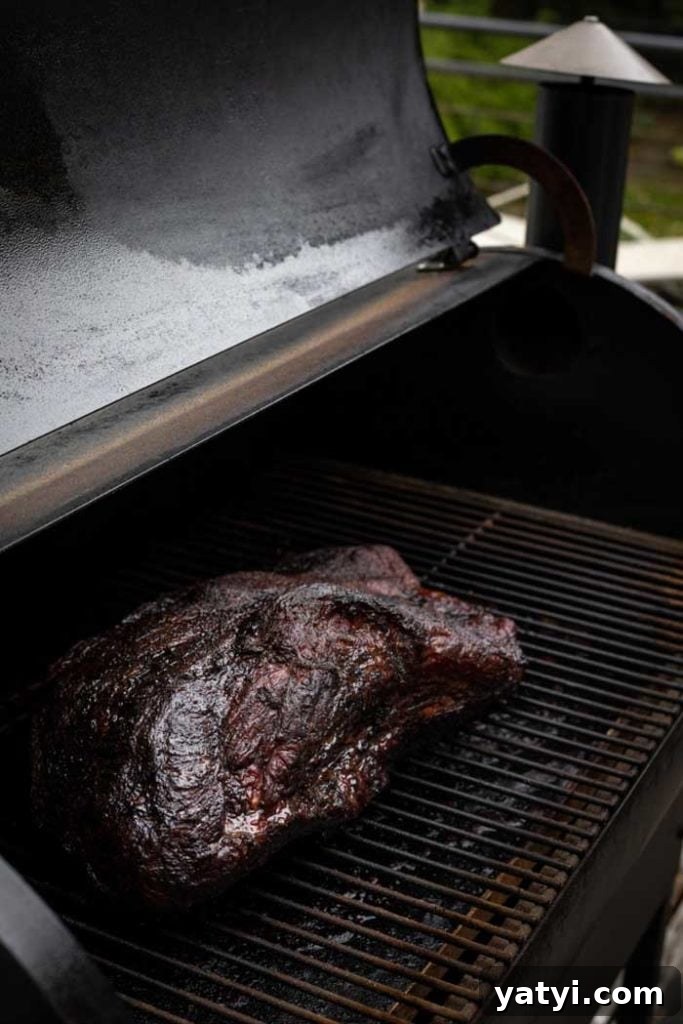 Brisket Smoking: Fat Side Up or Down — Which Is Better? 2 brisket placed on offset smoker grates