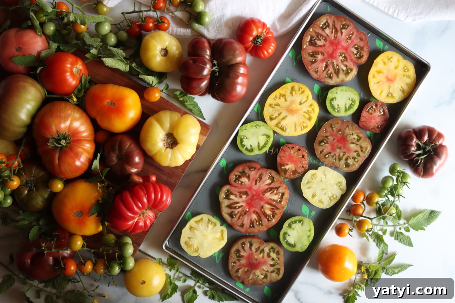 Freeze Drying Tomatoes