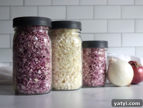 Freeze Dried Onions