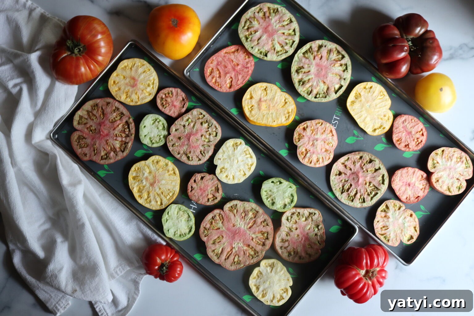 Trays of Freeze Dried Tomatoes
