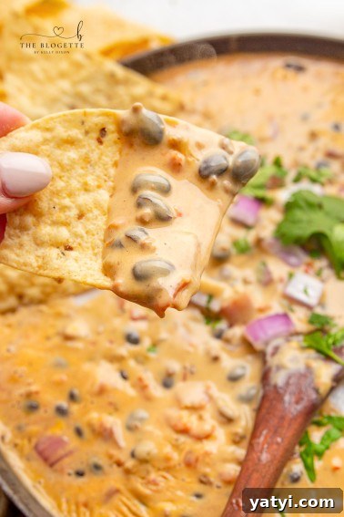 Loaded Queso Dip is full of flavor, packed with beef, beans, cheese, and even beer! Perfect appetizer with chips at parties or on game day!