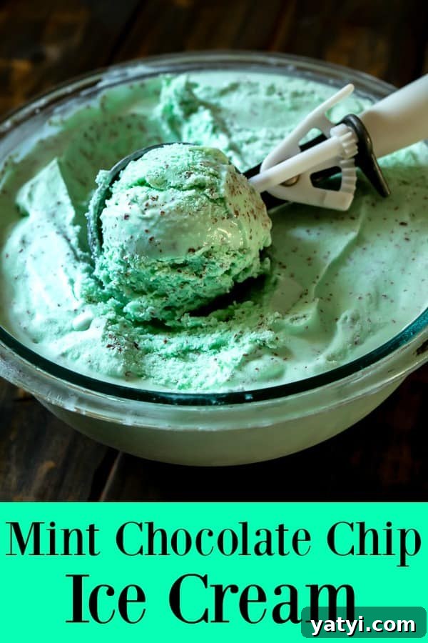 Homemade Mint Chocolate Chip Ice Cream Recipe: Creamy Mint Scoop 3 Homemade Mint Chocolate Chip Ice Cream