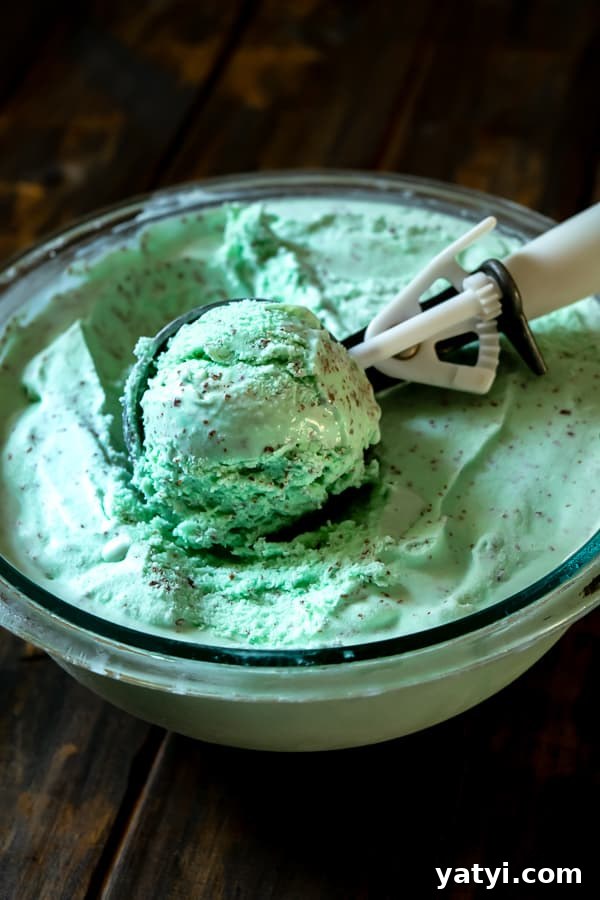 Homemade Mint Chocolate Chip Ice Cream Recipe: Creamy Mint Scoop 4 An ice cream scoop full of homemade Mint Chocolate Chip Ice Cream
