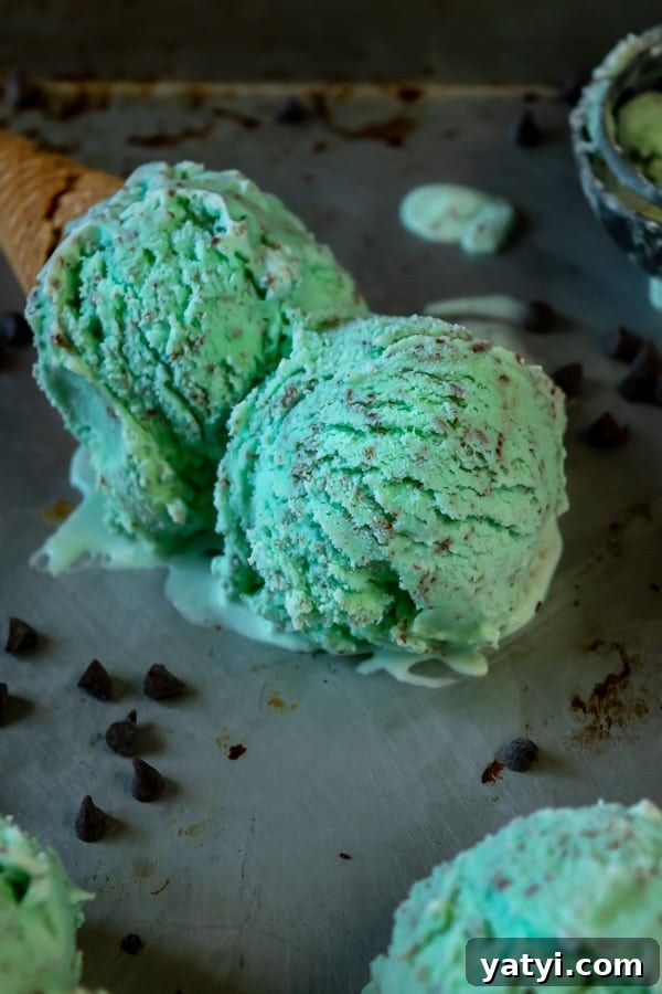 Homemade Mint Chocolate Chip Ice Cream Recipe: Creamy Mint Scoop 5 Homemade Mint Chocolate Chip Ice Cream Cone melting on a tray