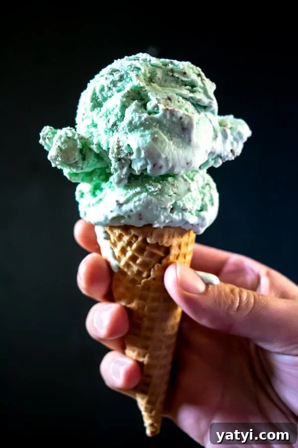 Homemade Mint Chocolate Chip Ice Cream Recipe: Creamy Mint Scoop 6 A cone full of homemade Mint Chocolate Chip Ice Cream