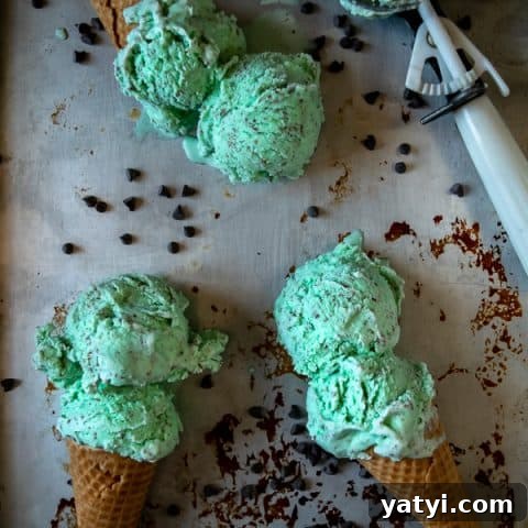 Homemade Mint Chocolate Chip Ice Cream - 3 cones laying on a sheet