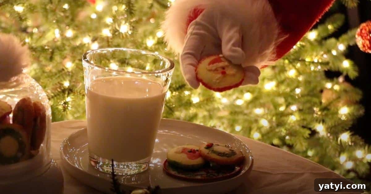 Slice-and-Bake Christmas Cookies: Simple Holiday Cookie Guide 5 img 2854 4