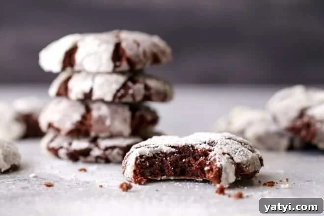 These rich and fudgy chocolate crinkle cookies have a hint of coffee and cinnamon that sets them apart. They're simply irresistible!