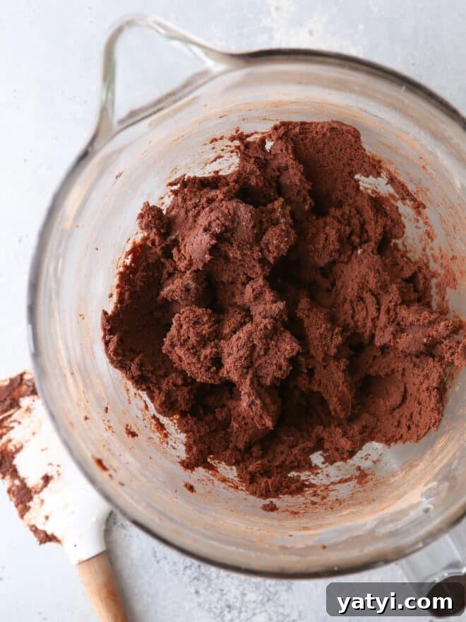 chocolate crinkle cookie dough