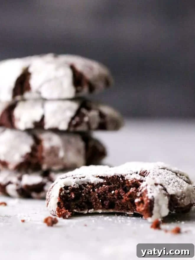 These rich and fudgy chocolate crinkle cookies have a hint of coffee and cinnamon that sets them apart. They're simply irresistible!