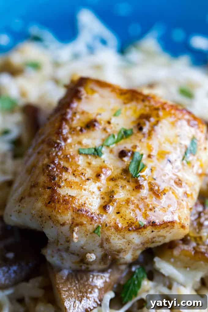Citrus-Grilled Lingcod with Garlic Herb Butter 14 Pan Seared Lingcod