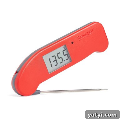 Thermapen® ONE