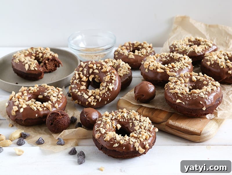 Double Chocolate Peanut Butter Doughnuts Recipe 4 landscape image of double chocolate cake donuts dipped in chocolate and topped with chopped peanuts