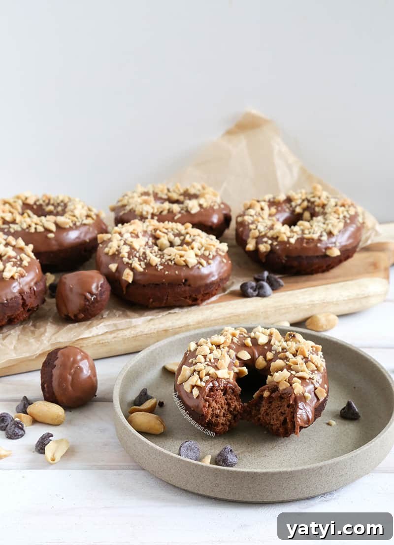 Double Chocolate Peanut Butter Doughnuts Recipe 6 TheLittleEpicurean-chocolate-peanut-doughnuts-1