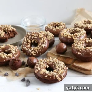 landscape shot of double chocolate cake donuts topped with chopped peanuts