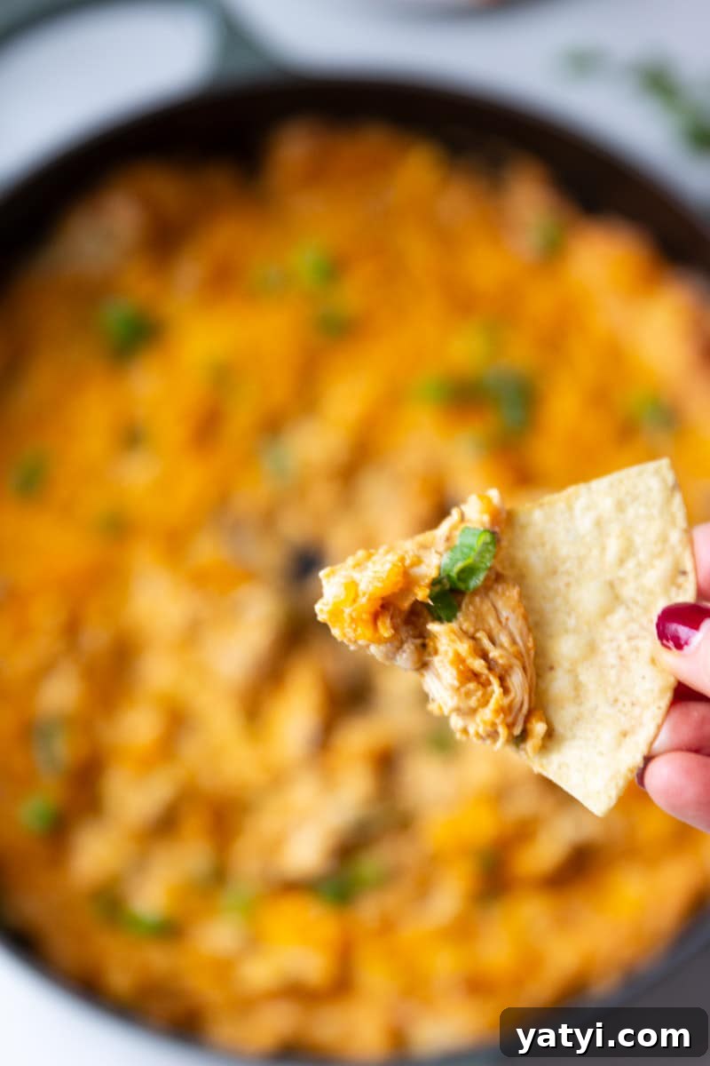 Creamy Buffalo Chicken Dip Recipe for Game Day or Parties 11 Buffalo chicken dip on a tortilla, buffalo chicken dip.