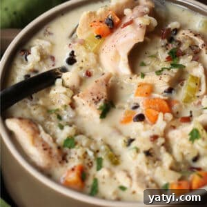spoon in bowl of turkey soup with rice and vegetables