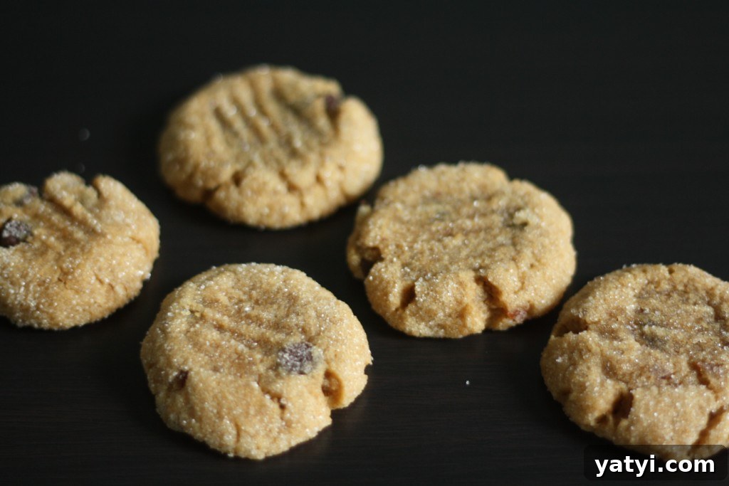 cookies img 3248 2