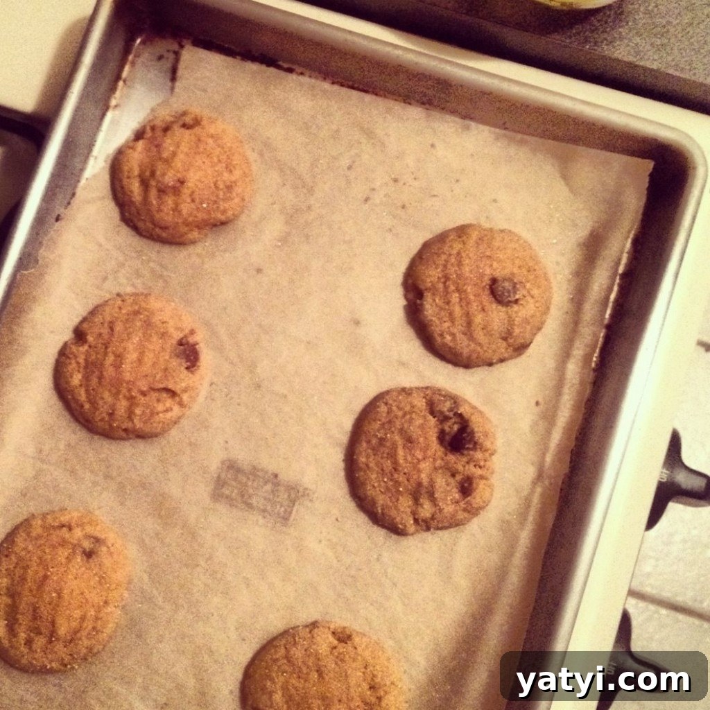 peanut butter bacon choc chip img 3248 3