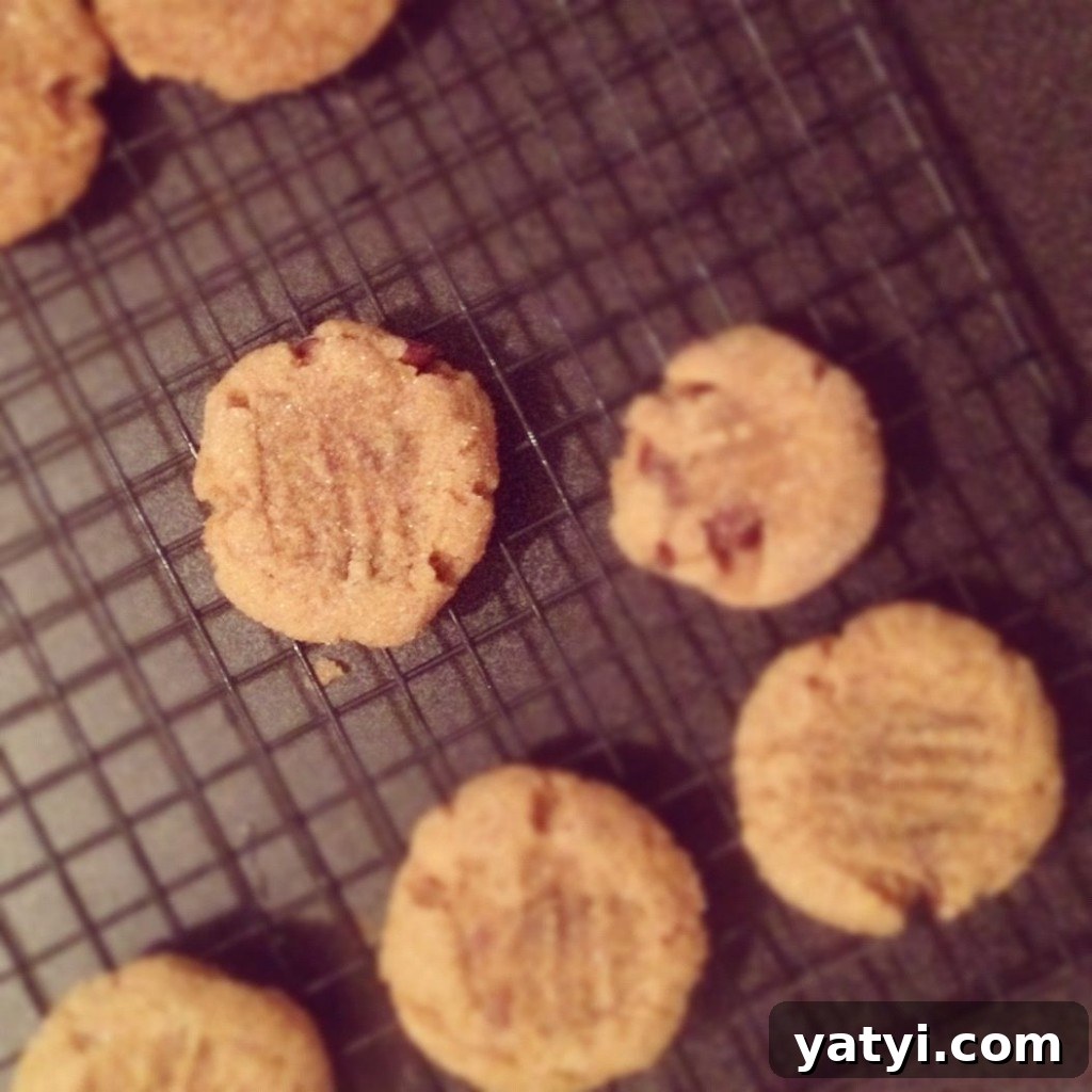 peanut butter bacon choc chip2 img 3248 4