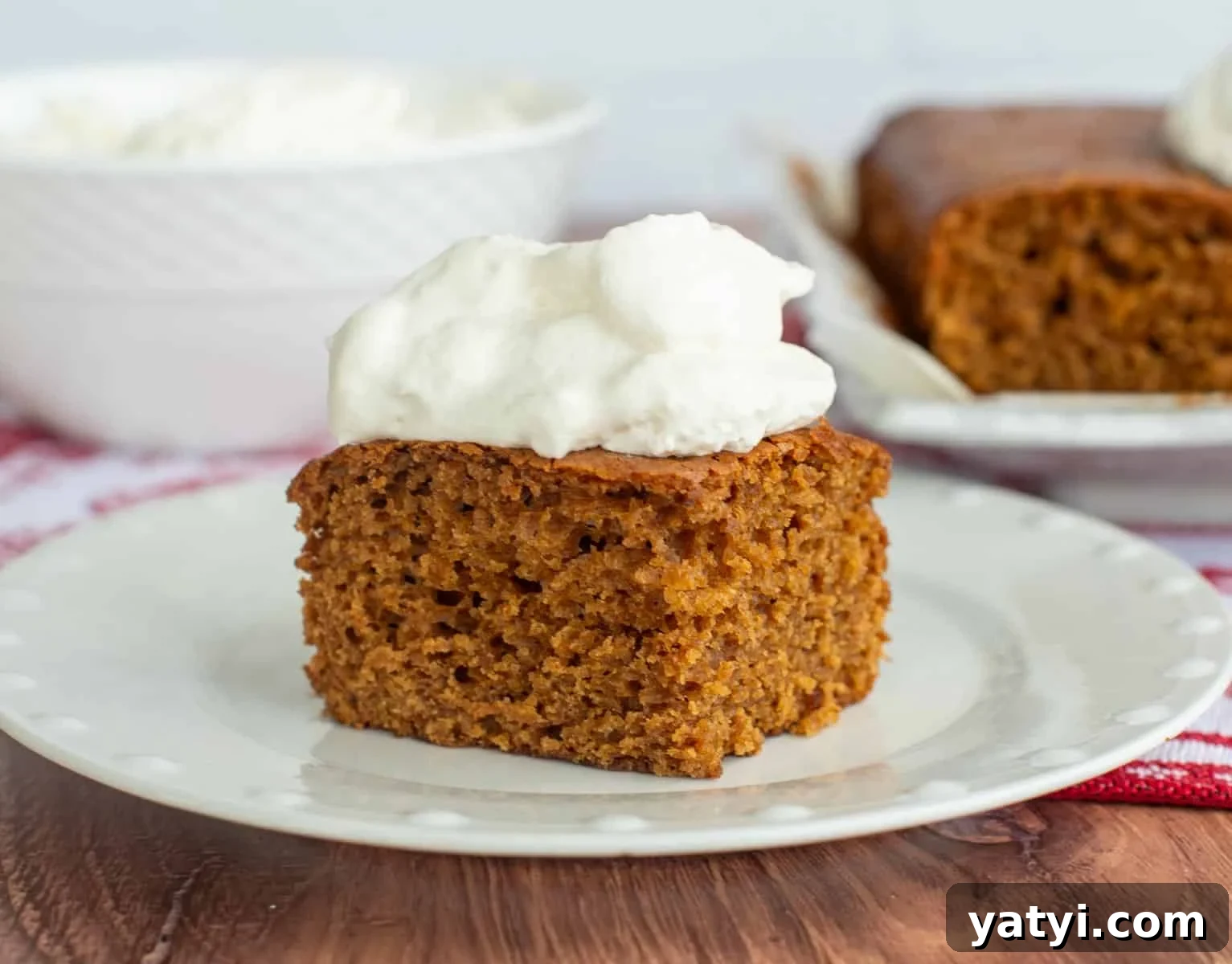 Sourdough Discard Gingerbread Snack Cake Recipe 2 A piece of gingerbread snack cake with whipped cream on top sitting on a plate.
