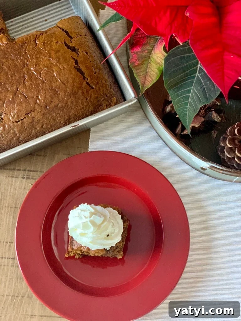 Sourdough Discard Gingerbread Snack Cake Recipe 11 img 3271 10