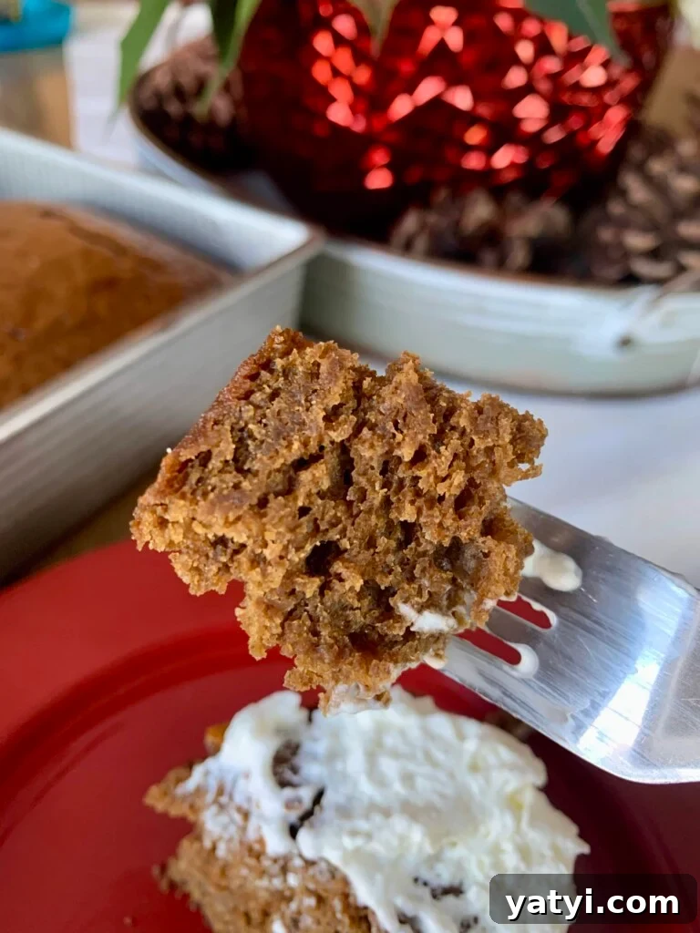 Sourdough Discard Gingerbread Snack Cake Recipe 12 img 3271 11