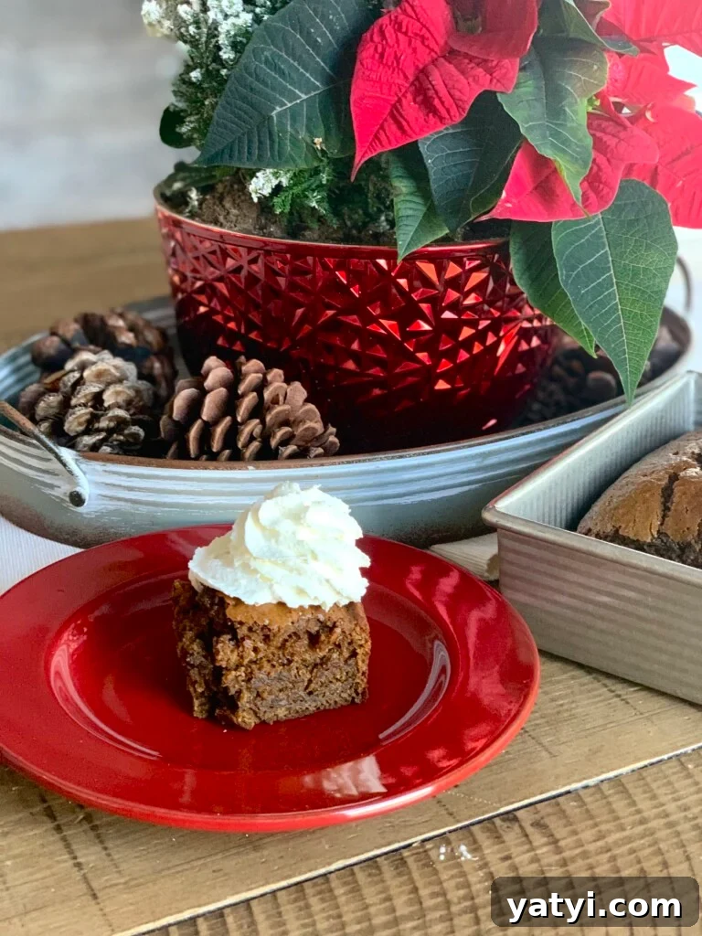 Sourdough Discard Gingerbread Snack Cake Recipe 14 img 3271 13