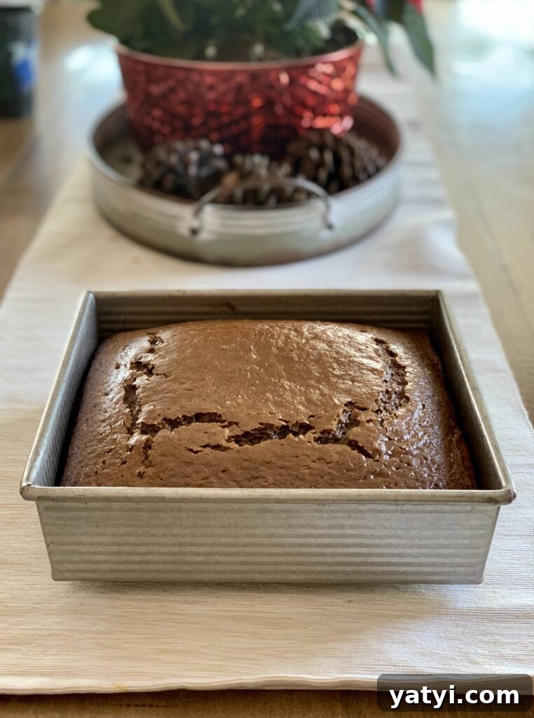 Sourdough Discard Gingerbread Snack Cake Recipe 9 img 3271 8