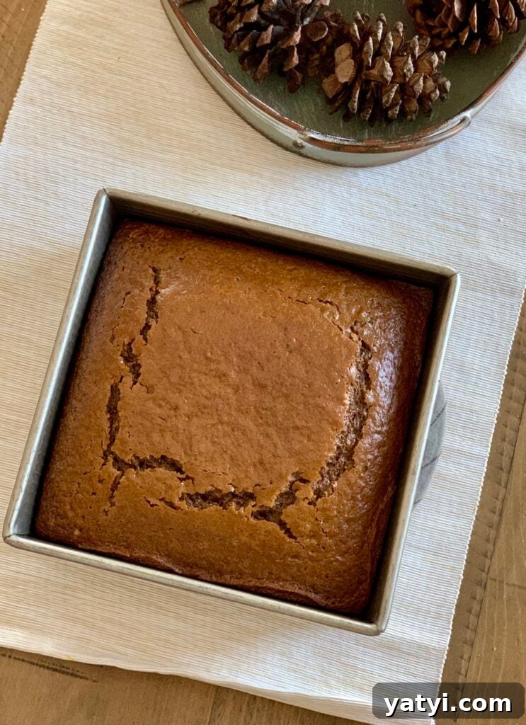 Sourdough Discard Gingerbread Snack Cake Recipe 10 img 3271 9