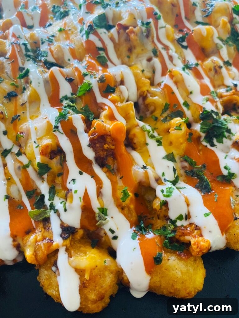 Loaded Taco Tater Tots Made in a Blackstone Pizza Oven 10 Blackstone Buffalo Chicken Loaded Tots