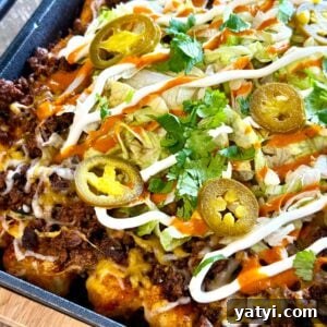 Loaded Taco Tater Tots Made in a Blackstone Pizza Oven 16 Blackstone Pizza Oven Taco Loaded Tots