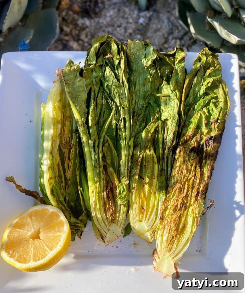 Charred Romaine Caesar Salad with Garlic Croutons 5 Grilled Lettuce