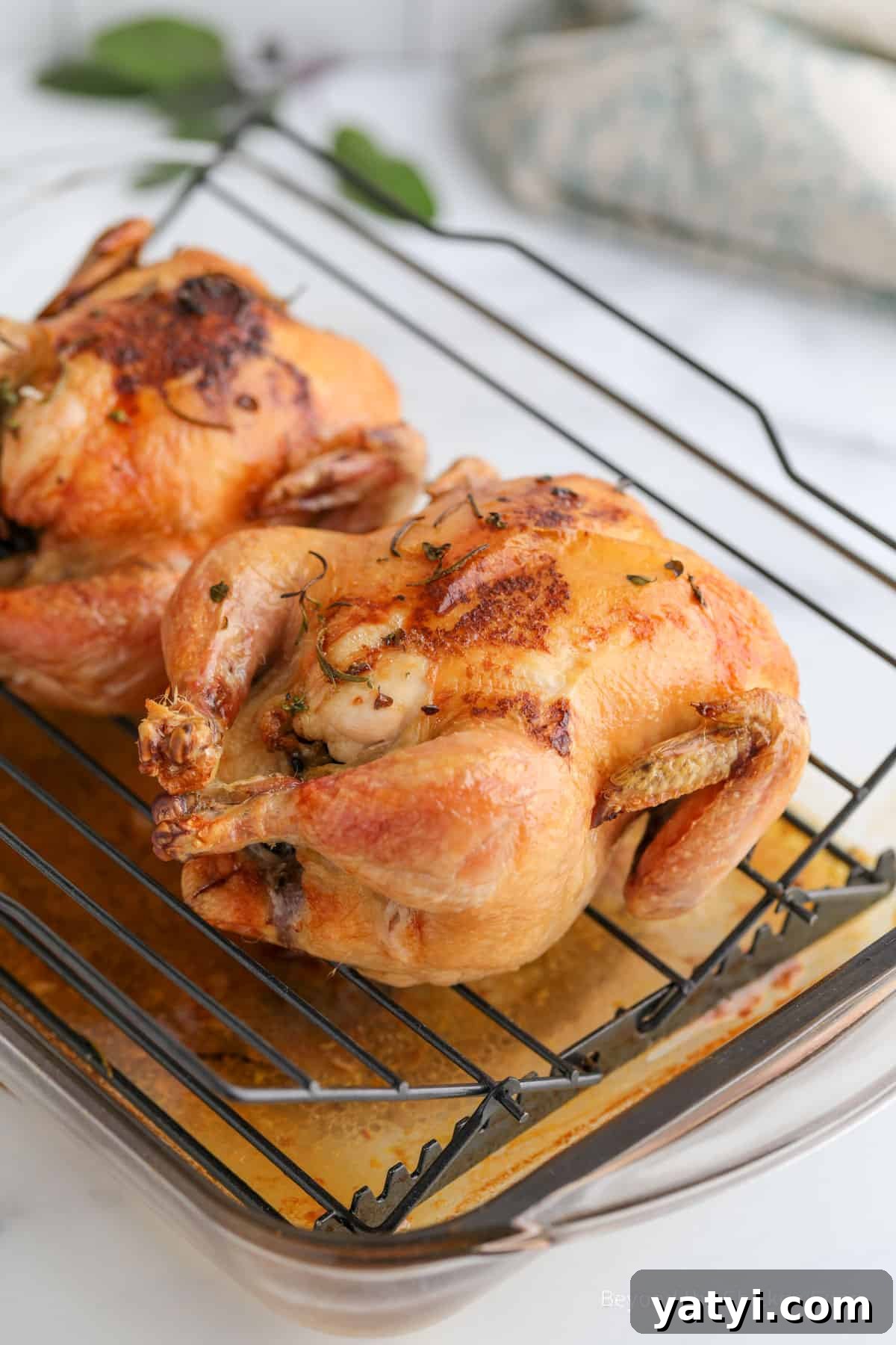 Herb-Roasted Stuffed Cornish Hens with Garlic and Lemon 8 Two baked cornish hens on a baking rack.