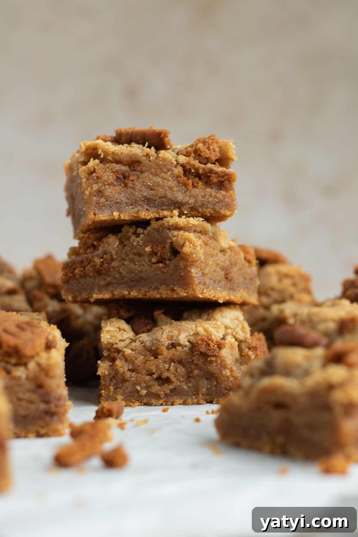 Chewy Biscoff Blondies with Caramelized Lotus Spread 4 a stack of 3 biscoff blondies with other blondies scattered around them
