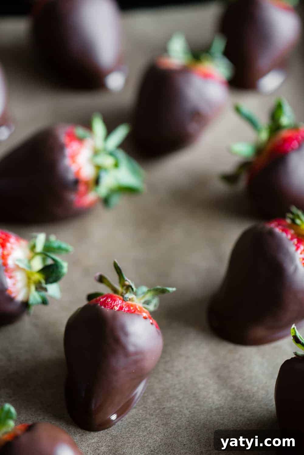 Decadent Chocolate-Covered Strawberries Recipe for Any Occasion 2 chocolate covered strawberries for valentine's day