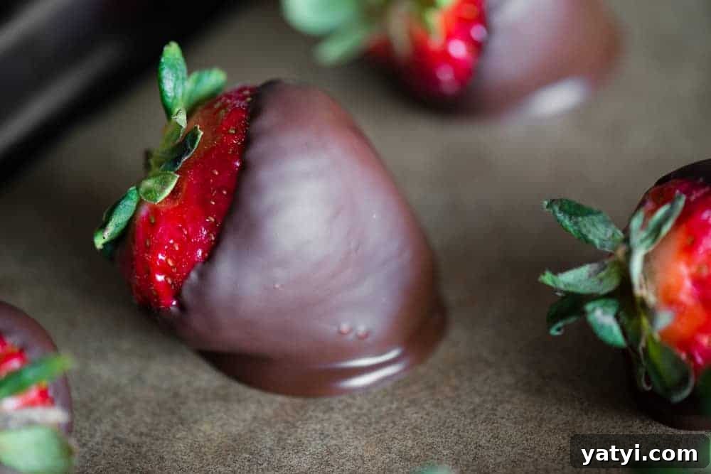 Decadent Chocolate-Covered Strawberries Recipe for Any Occasion 4 chocolate covered strawberries made in microwave