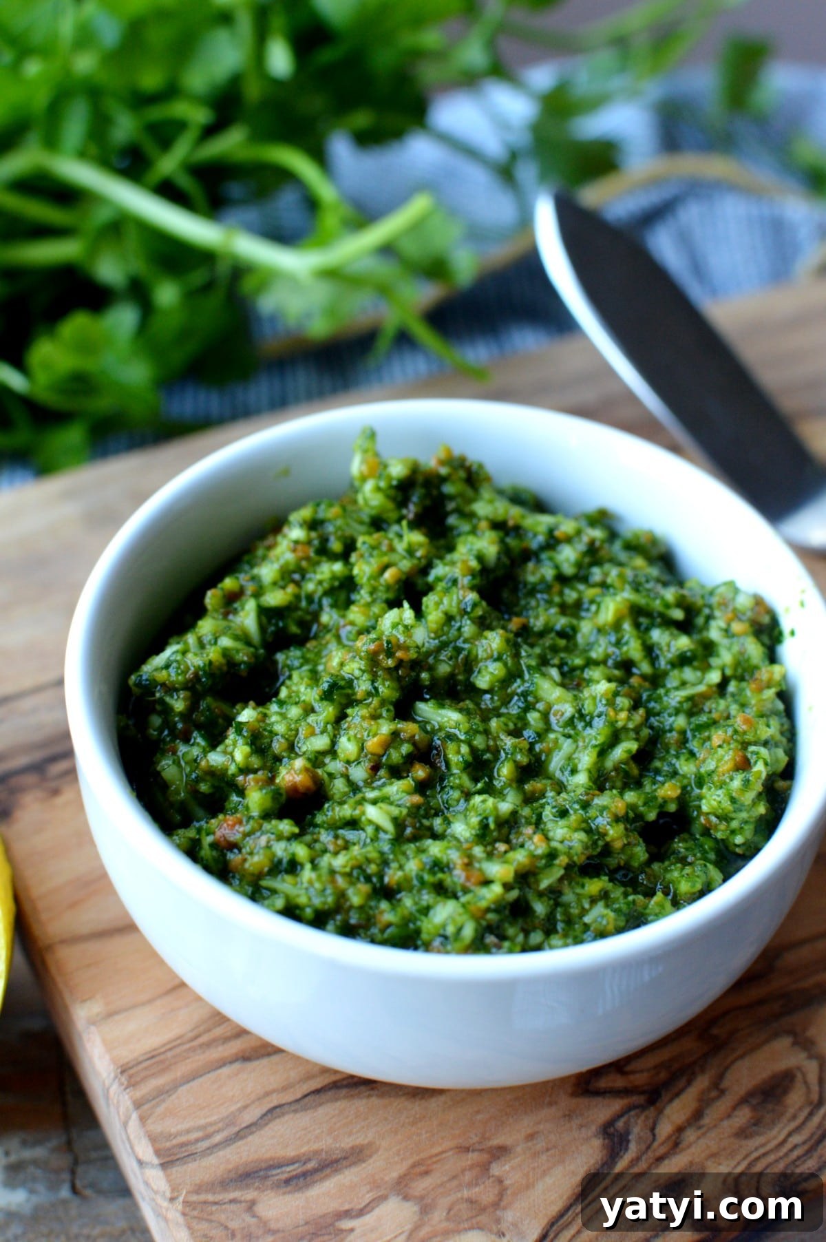 Cilantro and Mint Pesto Recipe for Fresh, Zesty Sauces 2 cilantro mint pesto on a cutting board