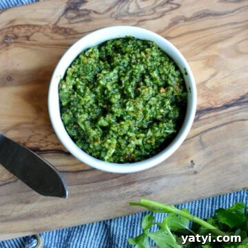 cilantro mint pesto