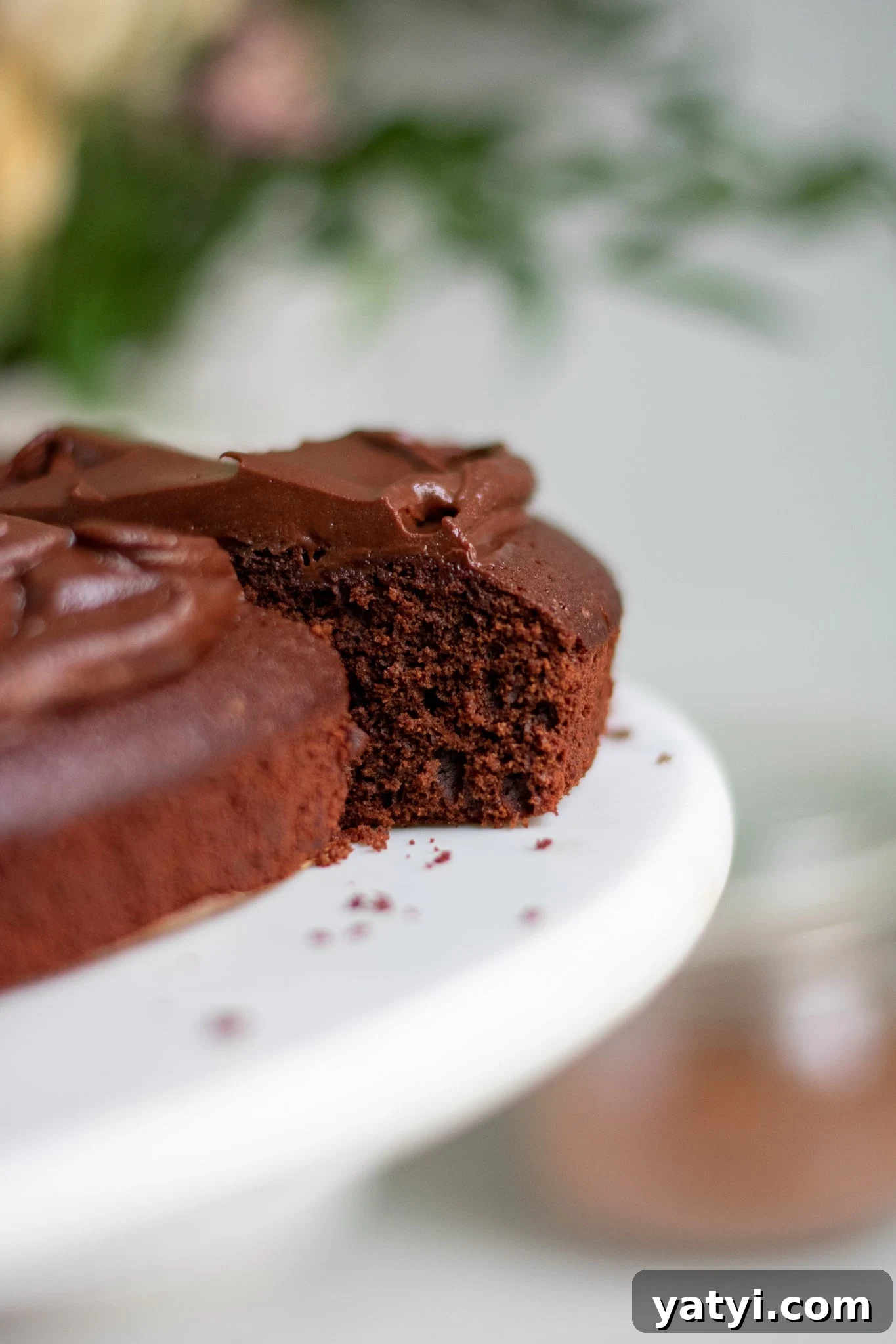 Classic Danish Chocolate Cake Recipe — Moist, Rich & Simple 3 A slice of chocolate cake.