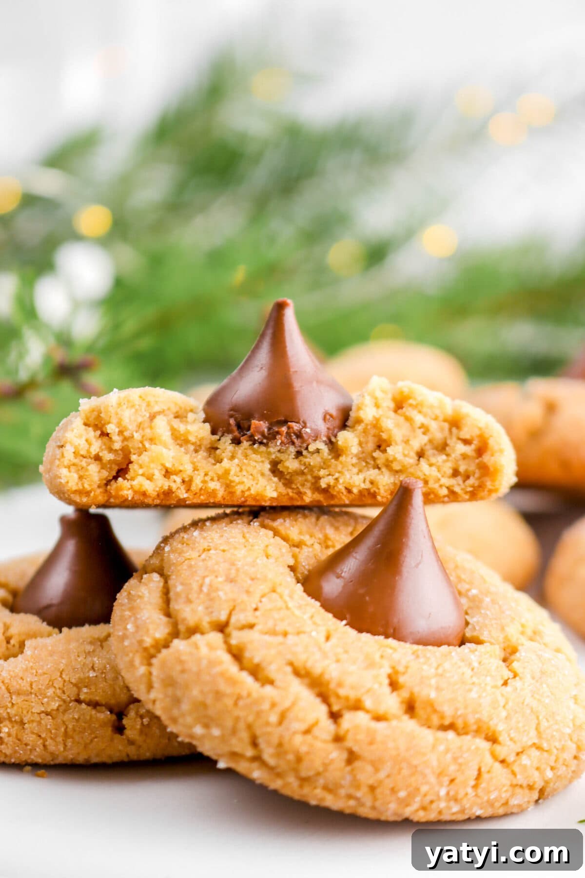 close up of peanut butter blossom cookie with bite missing.