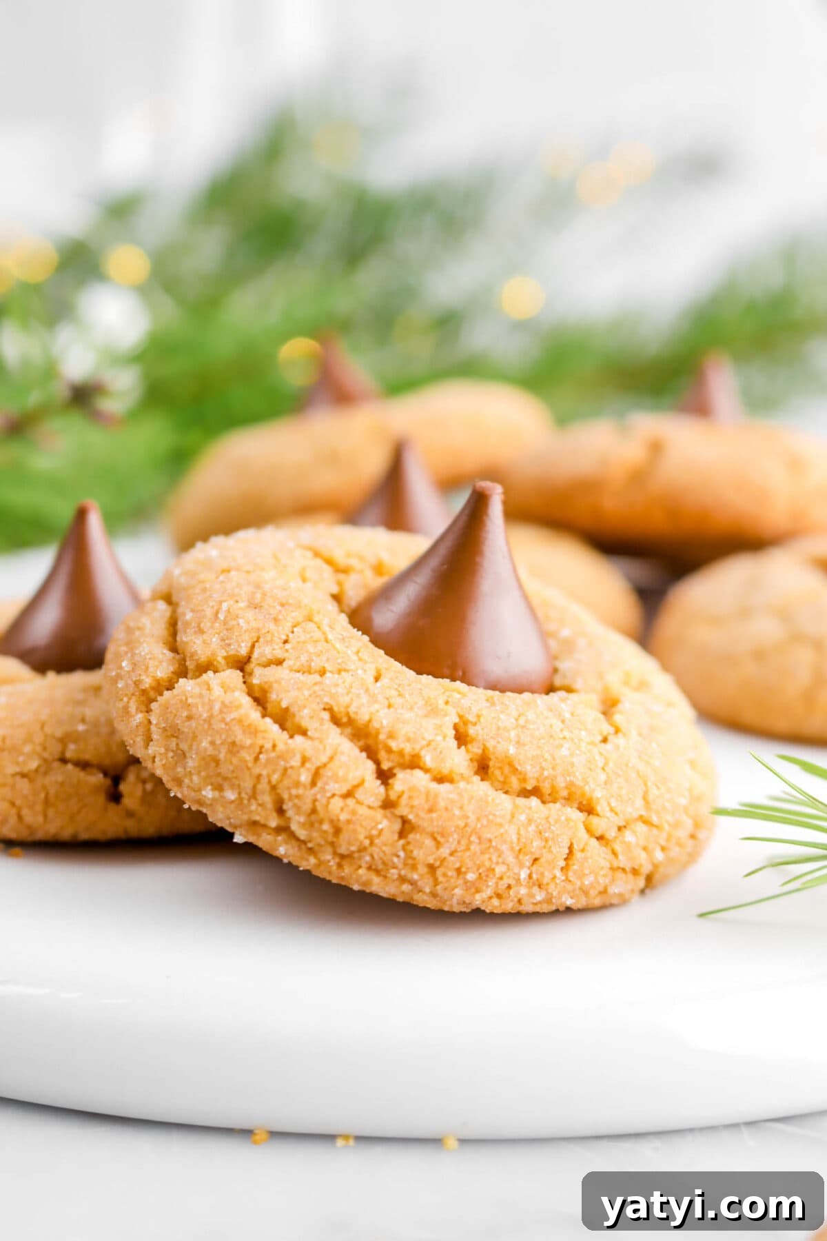 close up of peanut butter blossom cookie on upside down white plate.